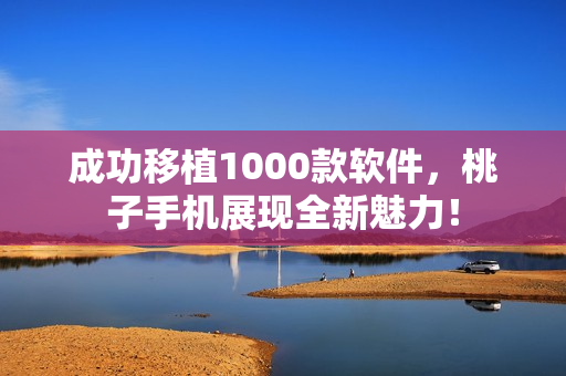 成功移植1000款软件，桃子手机展现全新魅力！