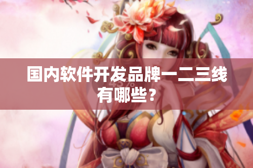 国内软件开发品牌一二三线有哪些？