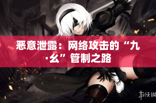 恶意泄露：网络攻击的“九·幺”管制之路
