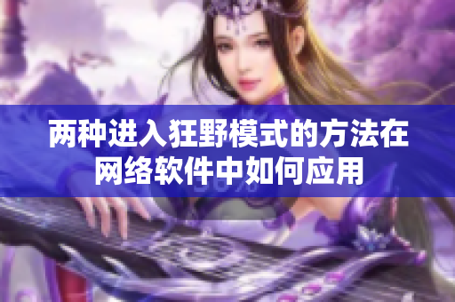 两种进入狂野模式的方法在网络软件中如何应用