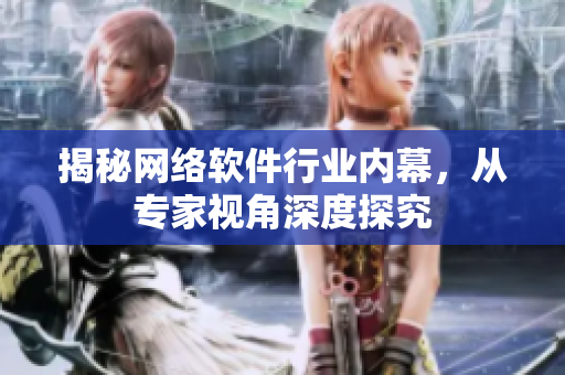 揭秘网络软件行业内幕，从专家视角深度探究