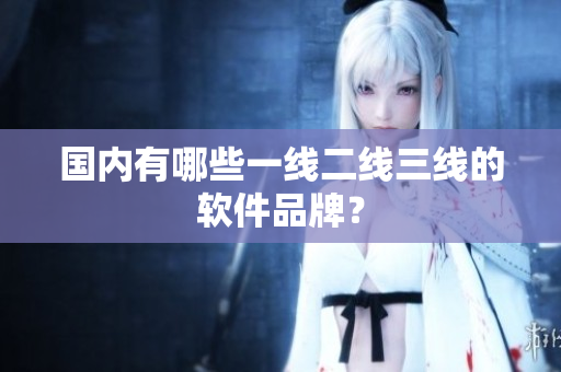 国内有哪些一线二线三线的软件品牌？