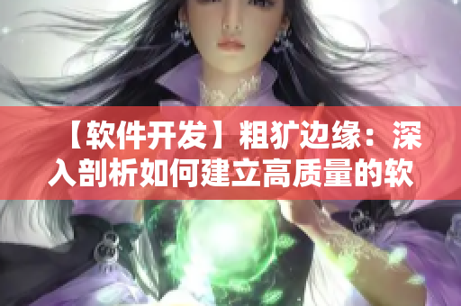 【软件开发】粗犷边缘：深入剖析如何建立高质量的软件代码