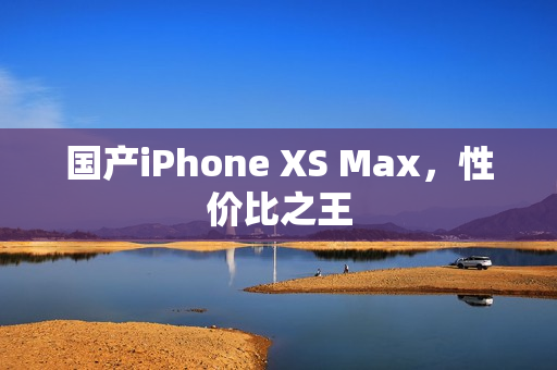 国产iPhone XS Max，性价比之王