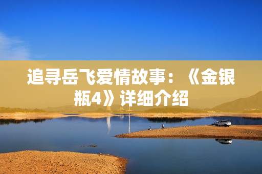 追寻岳飞爱情故事：《金银瓶4》详细介绍