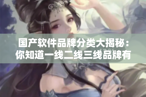国产软件品牌分类大揭秘：你知道一线二线三线品牌有哪些吗？