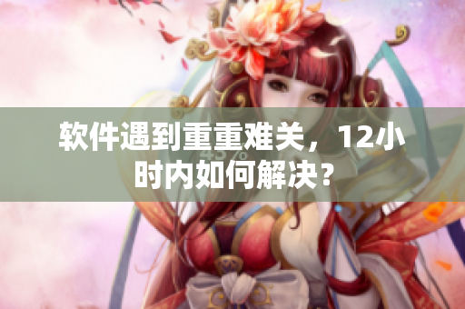 软件遇到重重难关，12小时内如何解决？