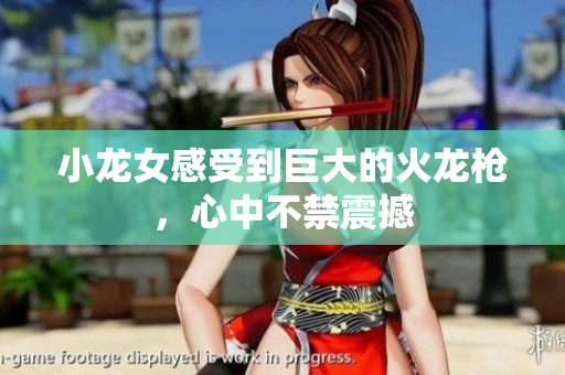 小龙女感受到巨大的火龙枪，心中不禁震撼