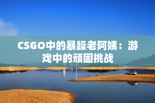 CSGO中的暴躁老阿姨：游戏中的顽固挑战