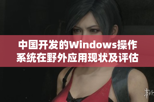 中国开发的Windows操作系统在野外应用现状及评估