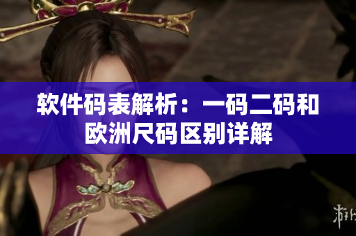 软件码表解析：一码二码和欧洲尺码区别详解