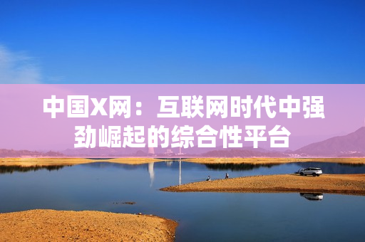 中国X网：互联网时代中强劲崛起的综合性平台