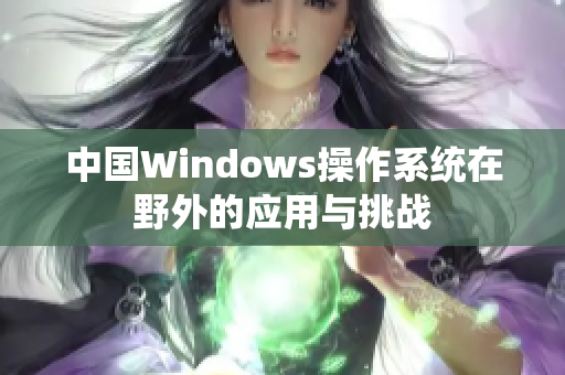 中国Windows操作系统在野外的应用与挑战