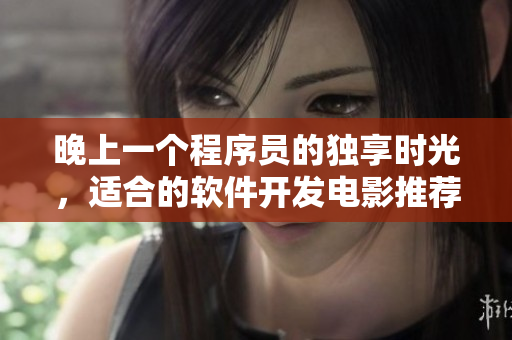 晚上一个程序员的独享时光，适合的软件开发电影推荐