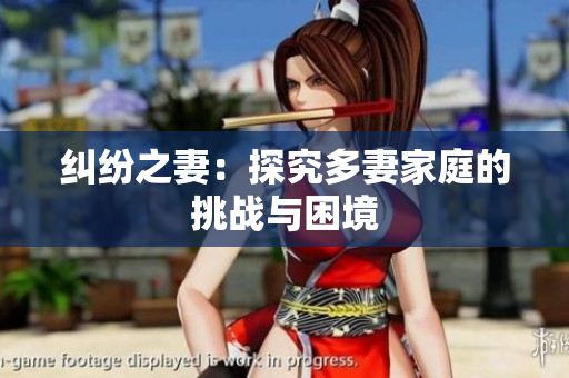 纠纷之妻：探究多妻家庭的挑战与困境