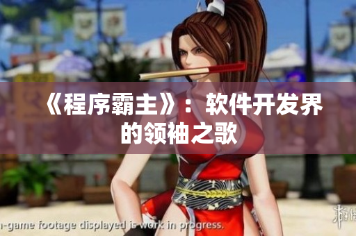 《程序霸主》：软件开发界的领袖之歌