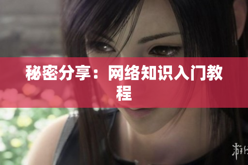 秘密分享：网络知识入门教程