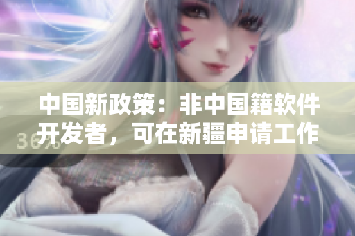中国新政策：非中国籍软件开发者，可在新疆申请工作签证