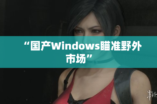 “国产Windows瞄准野外市场”