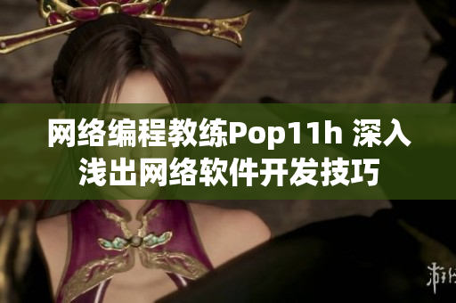 网络编程教练Pop11h 深入浅出网络软件开发技巧