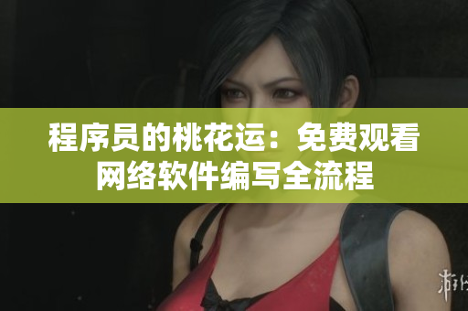 程序员的桃花运：免费观看网络软件编写全流程