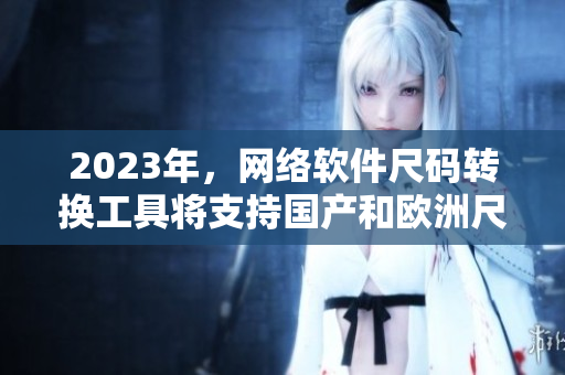 2023年，网络软件尺码转换工具将支持国产和欧洲尺码表！