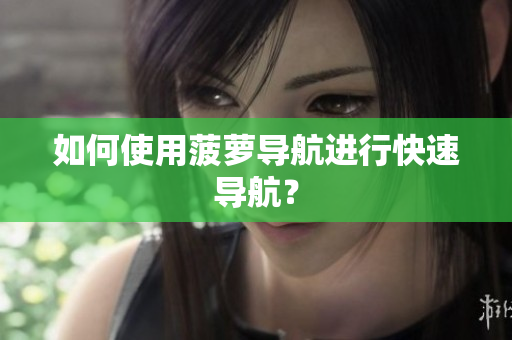 如何使用菠萝导航进行快速导航？