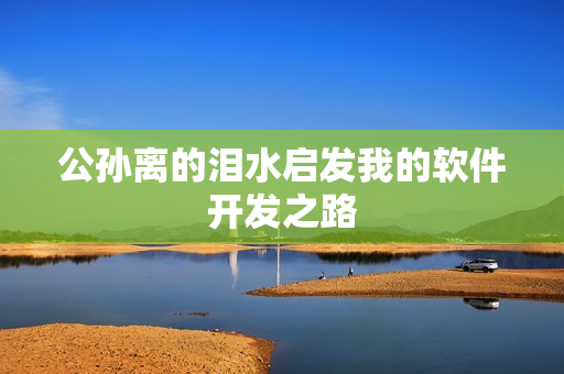公孙离的泪水启发我的软件开发之路