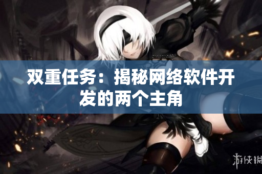 双重任务：揭秘网络软件开发的两个主角