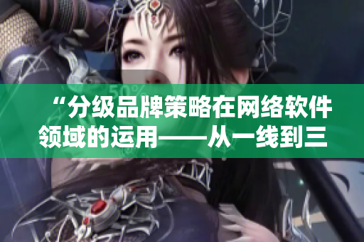 “分级品牌策略在网络软件领域的运用——从一线到三线的比拼”
