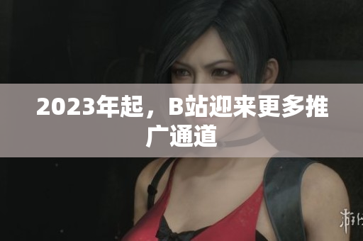 2023年起，B站迎来更多推广通道