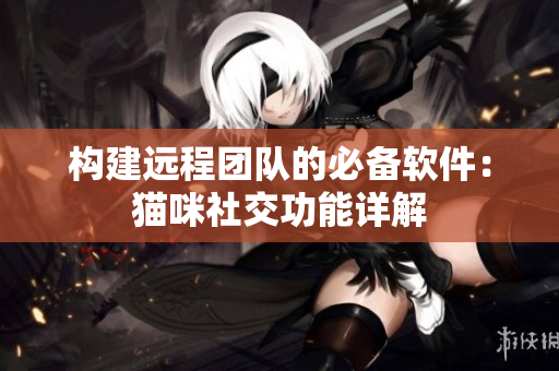构建远程团队的必备软件：猫咪社交功能详解