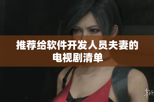 推荐给软件开发人员夫妻的电视剧清单