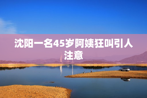 沈阳一名45岁阿姨狂叫引人注意