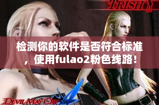 检测你的软件是否符合标准，使用fulao2粉色线路！