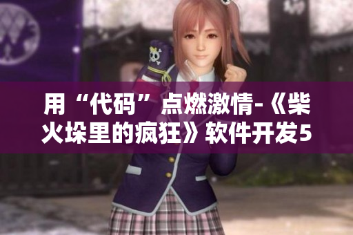 用“代码”点燃激情-《柴火垛里的疯狂》软件开发55集