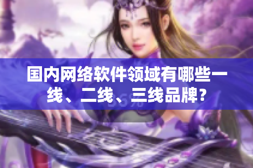 国内网络软件领域有哪些一线、二线、三线品牌？