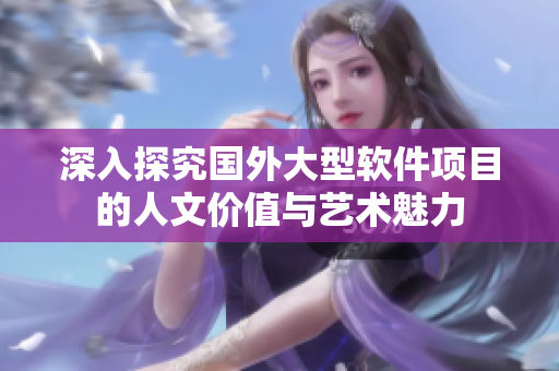 深入探究国外大型软件项目的人文价值与艺术魅力