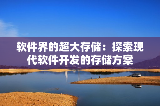 软件界的超大存储：探索现代软件开发的存储方案