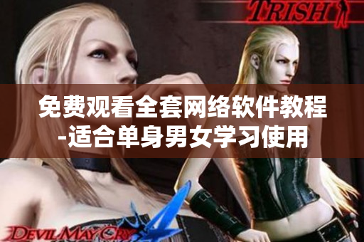 免费观看全套网络软件教程-适合单身男女学习使用