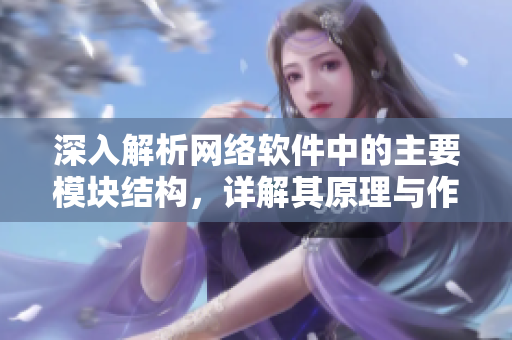 深入解析网络软件中的主要模块结构，详解其原理与作用