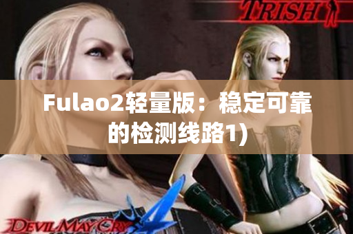 Fulao2轻量版：稳定可靠的检测线路1)