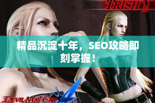 精品沉淀十年，SEO攻略即刻掌握！