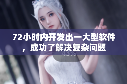 72小时内开发出一大型软件，成功了解决复杂问题