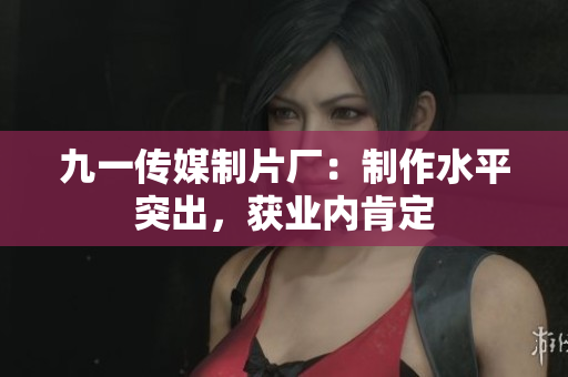 九一传媒制片厂：制作水平突出，获业内肯定