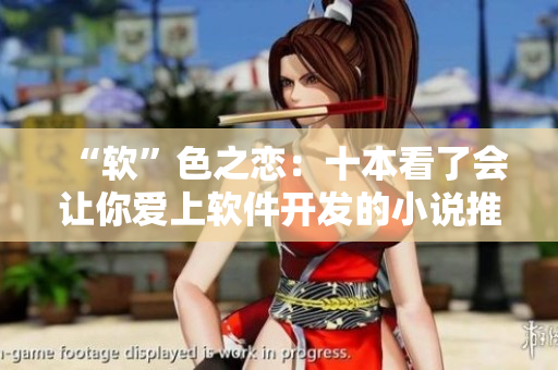 “软”色之恋：十本看了会让你爱上软件开发的小说推荐