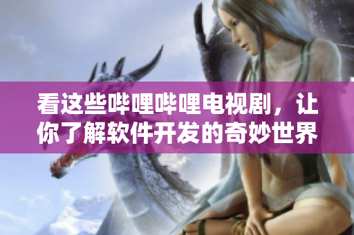 看这些哔哩哔哩电视剧，让你了解软件开发的奇妙世界！