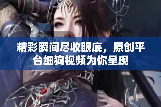 精彩瞬间尽收眼底，原创平台细狗视频为你呈现