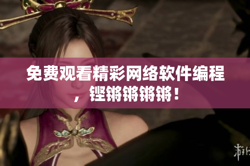 免费观看精彩网络软件编程，铿锵锵锵锵！