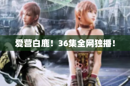 爱营白鹿！36集全网独播！
